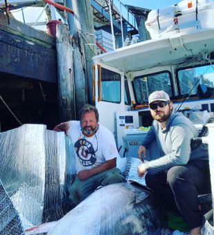 Maine Fishing Charters, Atlantic Bluefin Tuna